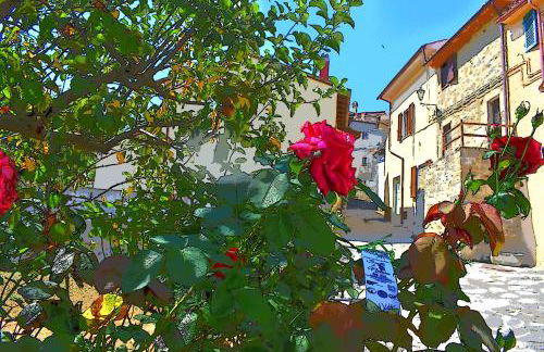 HOME L'UPUPA AMIATA - Foto 46