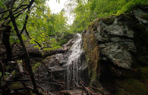 Hideaway Tiny Cabin, Hot Tub, View, Firepit - Foto 6