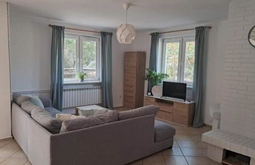 Pluski 10 osobowy Dom PROJEKT PLUSKI nad Jeziorem Pluszne - Foto 13