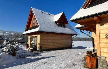 Żabie Dworki Witów Luxury Chalets & SPA - Foto 40