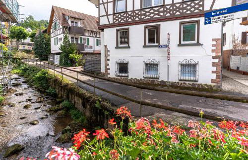 Litzi's Schwarzwald Apartment mit Kamin - Foto 25