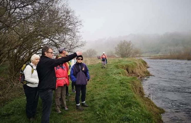 Tour por el Camino de St Declan - Foto 6