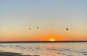 Sesimbra Cozy House BBQ & Terrace - MADA HOUSE's - Foto 49