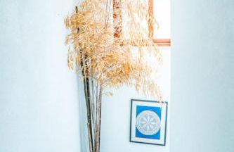 Casa da Ernesta - Foto 3