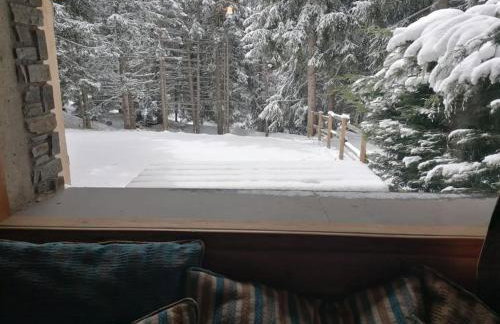 Chalet bois 45M2 - Foto 10