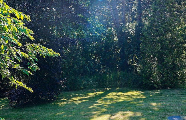 12 Person Holiday Home in Hundested - Foto 30