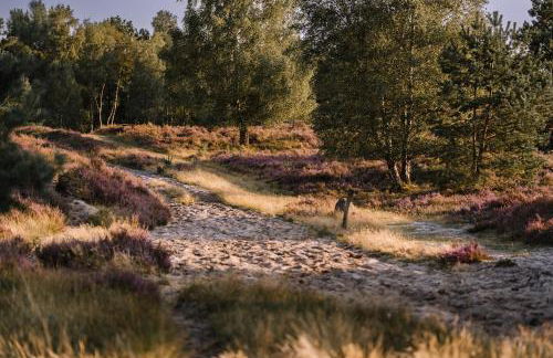 Schönstes kleines Ferienhaus in der Lü-Heide - Foto 35