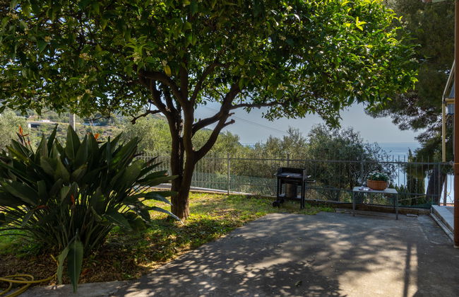 Alfreda (SLR101) - Foto 19