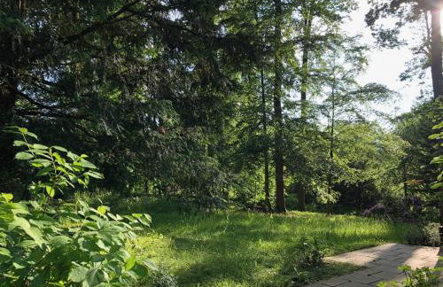 Waldhaus Möhnesee - Foto 6