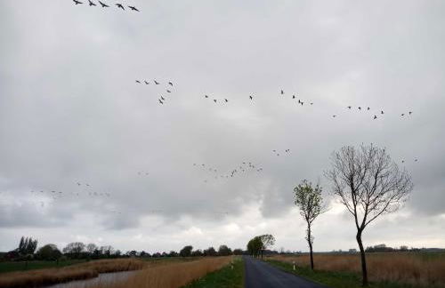 Fischerhaus am Deich 45233 - Foto 8