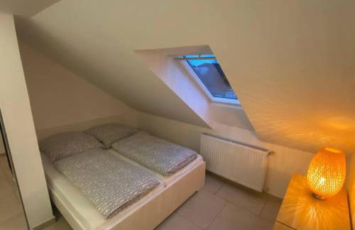 Ap1 am Zoo - Foto 10