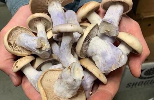 Cozy Creek House - Foto 53