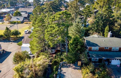 Secret Garden MCA#1504 - Foto 40