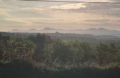 Agroturisme Subies - Foto 39