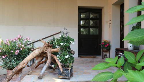 Big Mama's Home - Foto 5