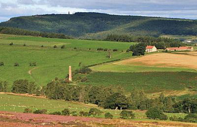 Warren Farmhouse - Photo 24