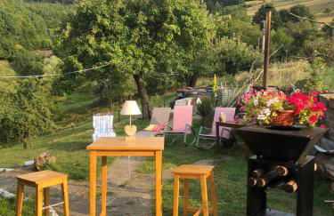 Maison pittoresque à Sainte-Croix-aux-Mines, vue sur la montagne - Foto 42