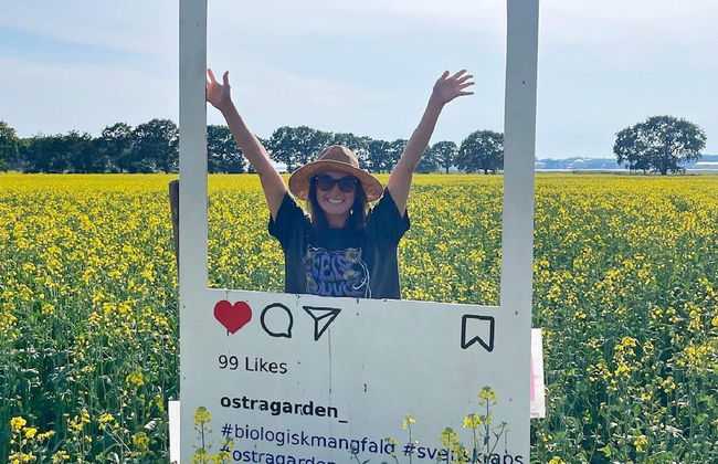 4 Star Holiday Home in Solvesborg-by Traum - Photo 20