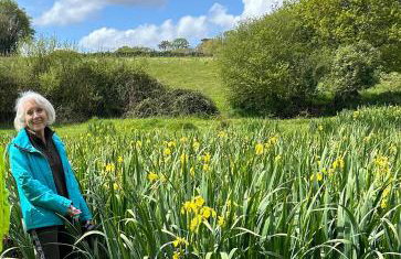 Cocon Nature et bain nordique à 37 degrés - Foto 37
