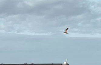 Estudio 33 - Foto 23