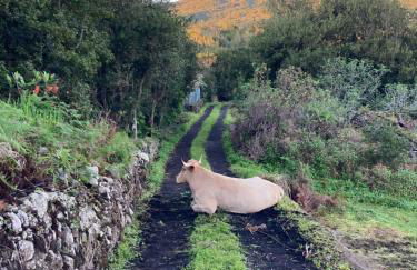 Villas Morera - Foto 8