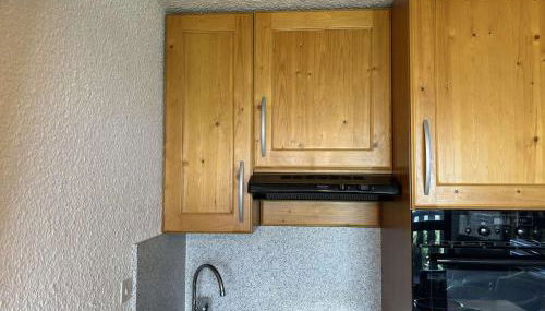 Auris en Oisans: Appart 4 pers, 250m pistes, balcon, parking gratuit, animaux admis - FR-1-297-339 - Foto 4