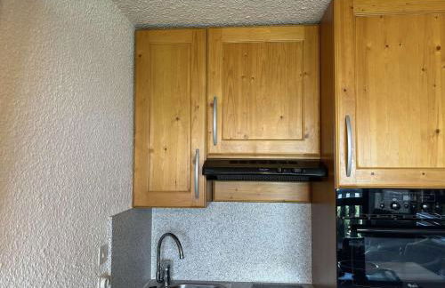 Auris en Oisans: Appart 4 pers, 250m pistes, balcon, parking gratuit, animaux admis - FR-1-297-339 - Foto 4