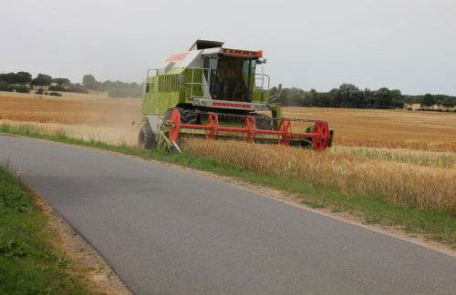Ferienwohnung Zimmert - Photo 21