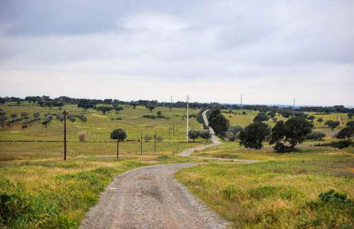 Casas Velhas - Casa da Taberna - Foto 14
