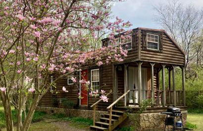Sunnybrook Cabin, wooded, private with stream, near ATV trails - Foto 29