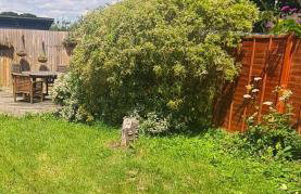 Gorgeous 2 bedroom Kintbury cottage - Foto 30