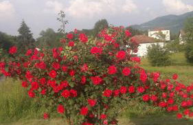 Residenza Letizia - Foto 29