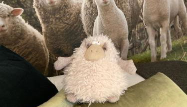 Le Mouton à 5 Pattes Aubagne-Cassis-Aix en Provence - Foto 3