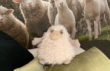 Le Mouton à 5 Pattes Aubagne-Cassis-Aix en Provence - Foto 3