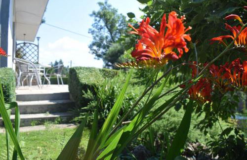 Willa Przekop - apartamenty - Foto 19