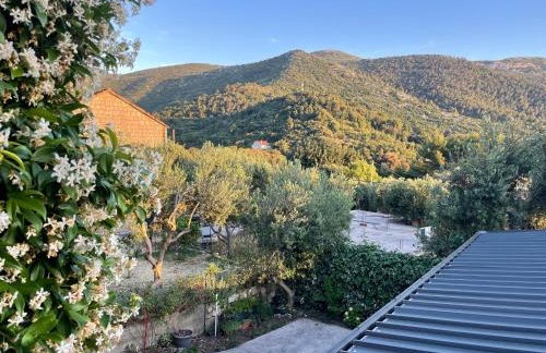 Apartments Leko - Foto 61