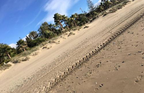 APARTAMENTO beachfront LA JACARANDA - Photo 31