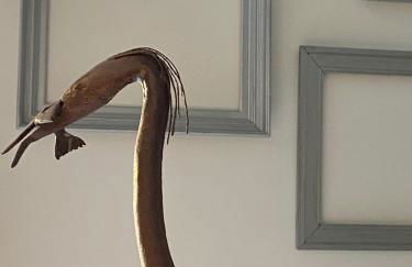 Le Mahonia - Foto 16