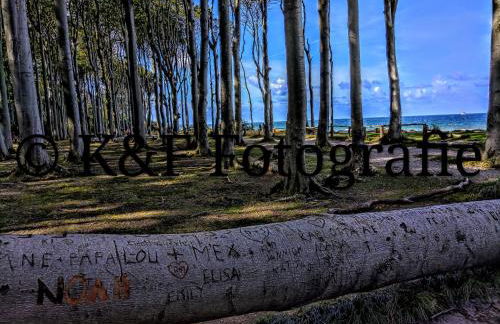 Ostseeblick - Foto 54