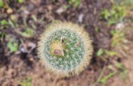 Monte da ti Luzia - Foto 58