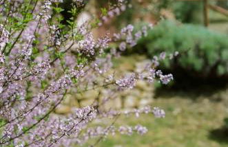 Le Capannacce - Foto 74