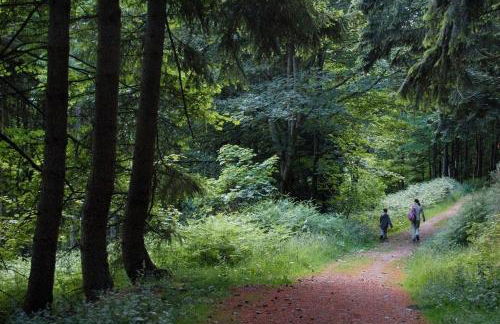 River Edge Lodges - Foto 13