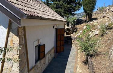 Villa Ohana - Photo 15