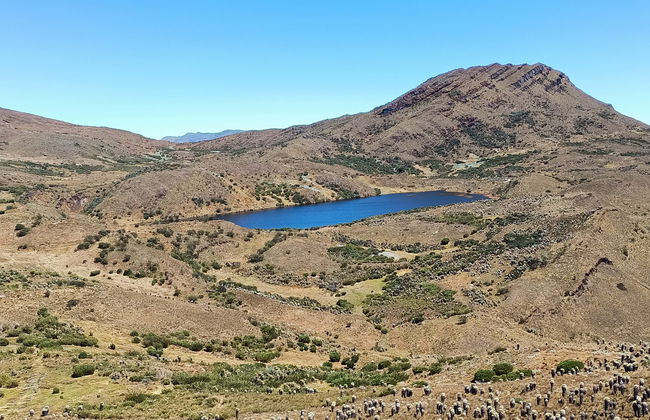 Excursion au Páramo d'Ocetá - Photo 1