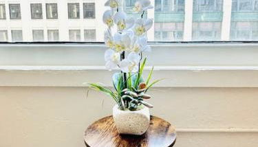 2 BR Contemporary Modern Loft - Foto 3