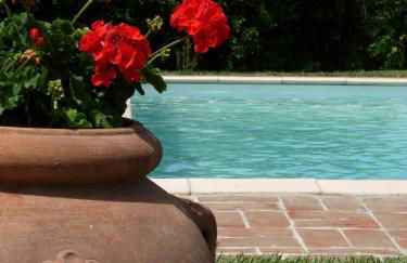 Residence Lucignano - Foto 42