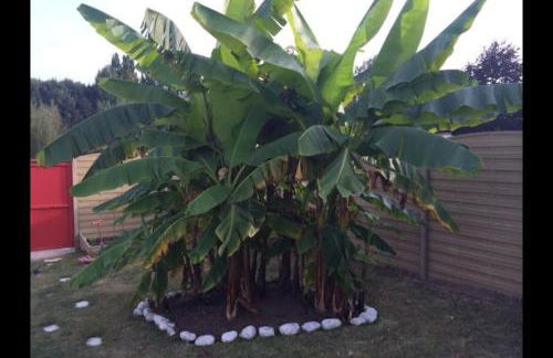 24h du Mans ou Jeux olympiques - Foto 19