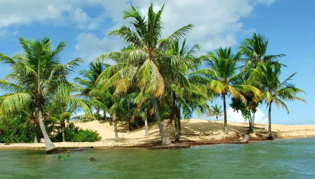 São Francisco River Day Trip - Foto 4