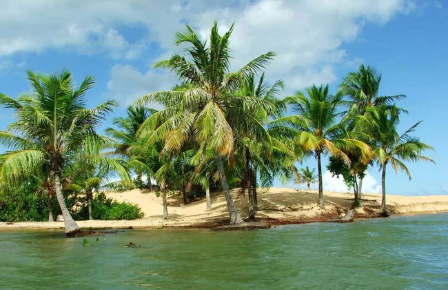 Excursion au fleuve São Francisco - Photo 4