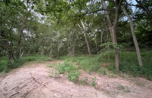 Colorado river access, game room & swimming pool - Photo 9